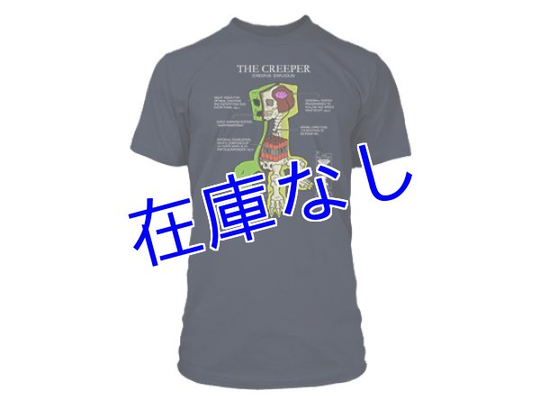 画像1: Minecraft Tシャツ　その１５ (1)