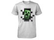 画像1: Minecraft Tシャツ　その２１　（キッズ） (1)
