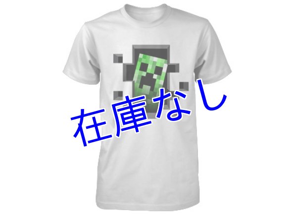 画像1: Minecraft Tシャツ　その２１　（キッズ） (1)