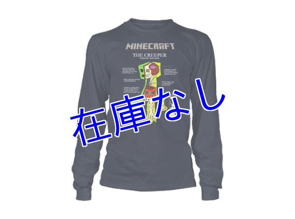 画像1: Minecraft Tシャツ　その１５　 (ロング、キッズ) (1)