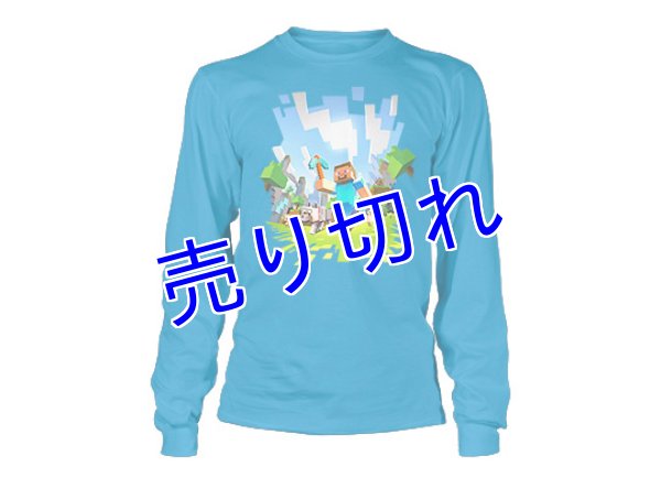 画像1: Minecraft Tシャツ　その２２　（ロング、キッズ） (1)
