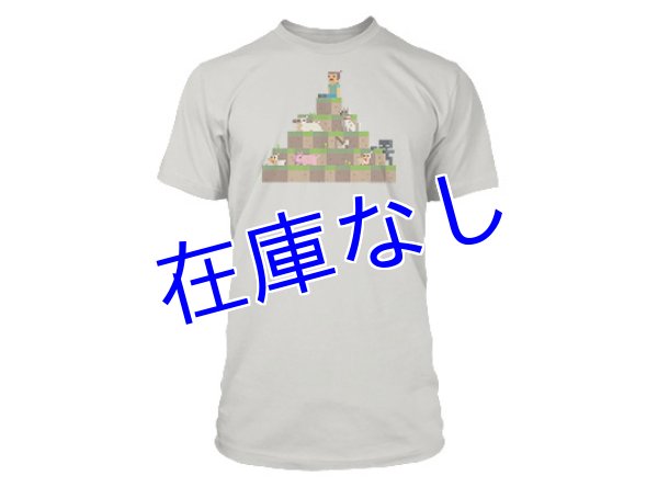 画像1: Minecraft Tシャツ　その２５ （キッズ） (1)