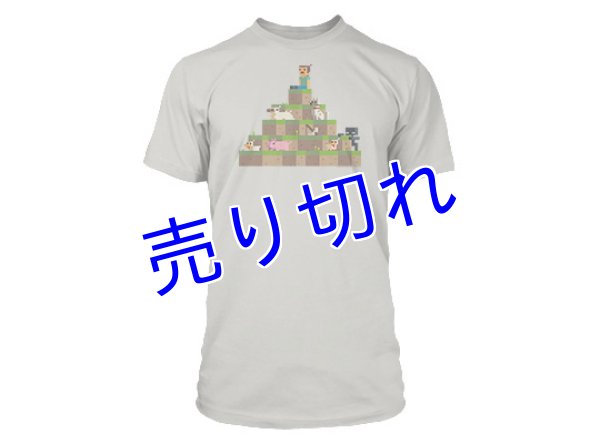 画像1: Minecraft Tシャツ　その２５ (1)