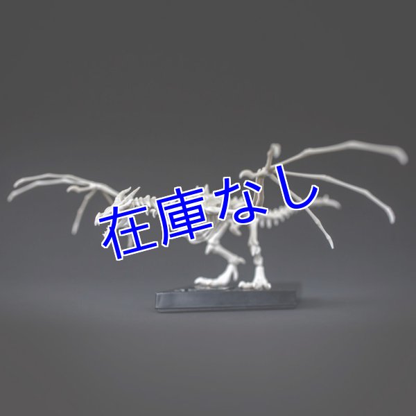 画像1: Skyrim Skeletal Dragon キット (1)