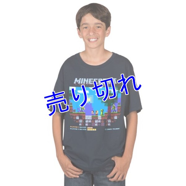 画像1: Minecraft Tシャツ その３８　（キッズ） (1)