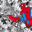画像3: Spider Man ワンピース (3)