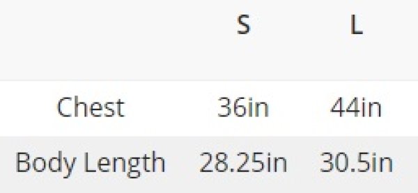 画像2: Anthem Tシャツ その１ (2)