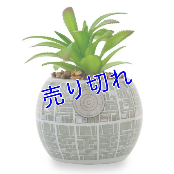 画像1: Star Wars ミニ植木鉢　その１ (1)