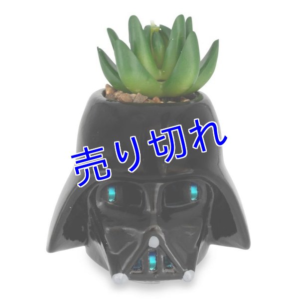 画像1: Star Wars ミニ植木鉢　その２ (1)