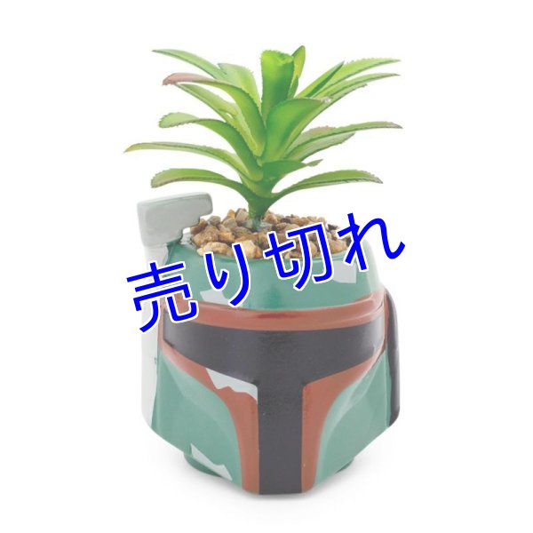 画像1: Star Wars ミニ植木鉢　その３ (1)